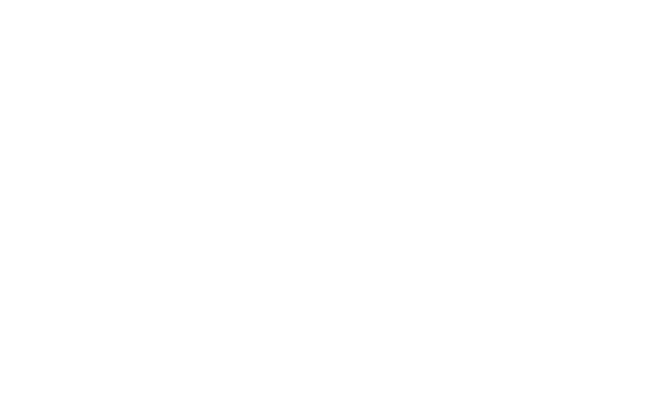 BiP Solutions